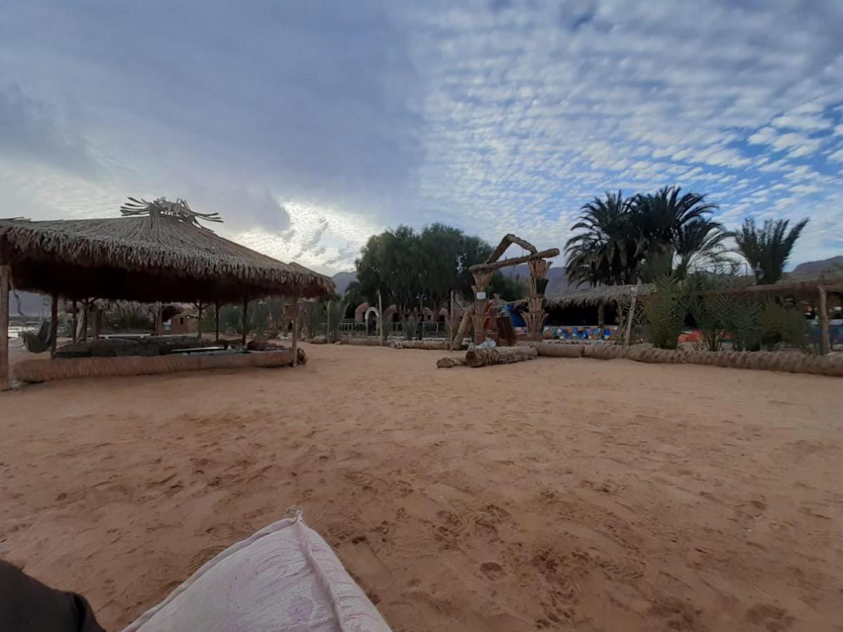 Bed and Breakfast Sababa Beach Camp Нувейба Экстерьер фото